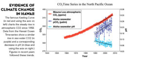 hawai-neutralite-carbone-2045-stockage-electricite