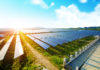 guadeloupe-renouvelables-biomasse-photovoltaique