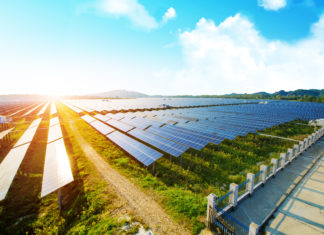 guadeloupe-renouvelables-biomasse-photovoltaique