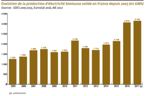 biomasse solide france 1 2 metropole - Les Smart Grids