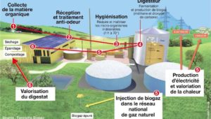 biogaz electrique france dynamisme - Les Smart Grids