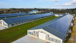france photovoltaique agricole rentable - Les Smart Grids